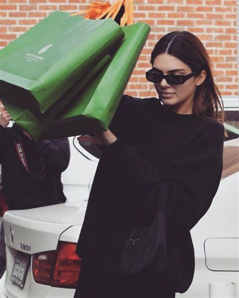 kendall jenner goyard bag